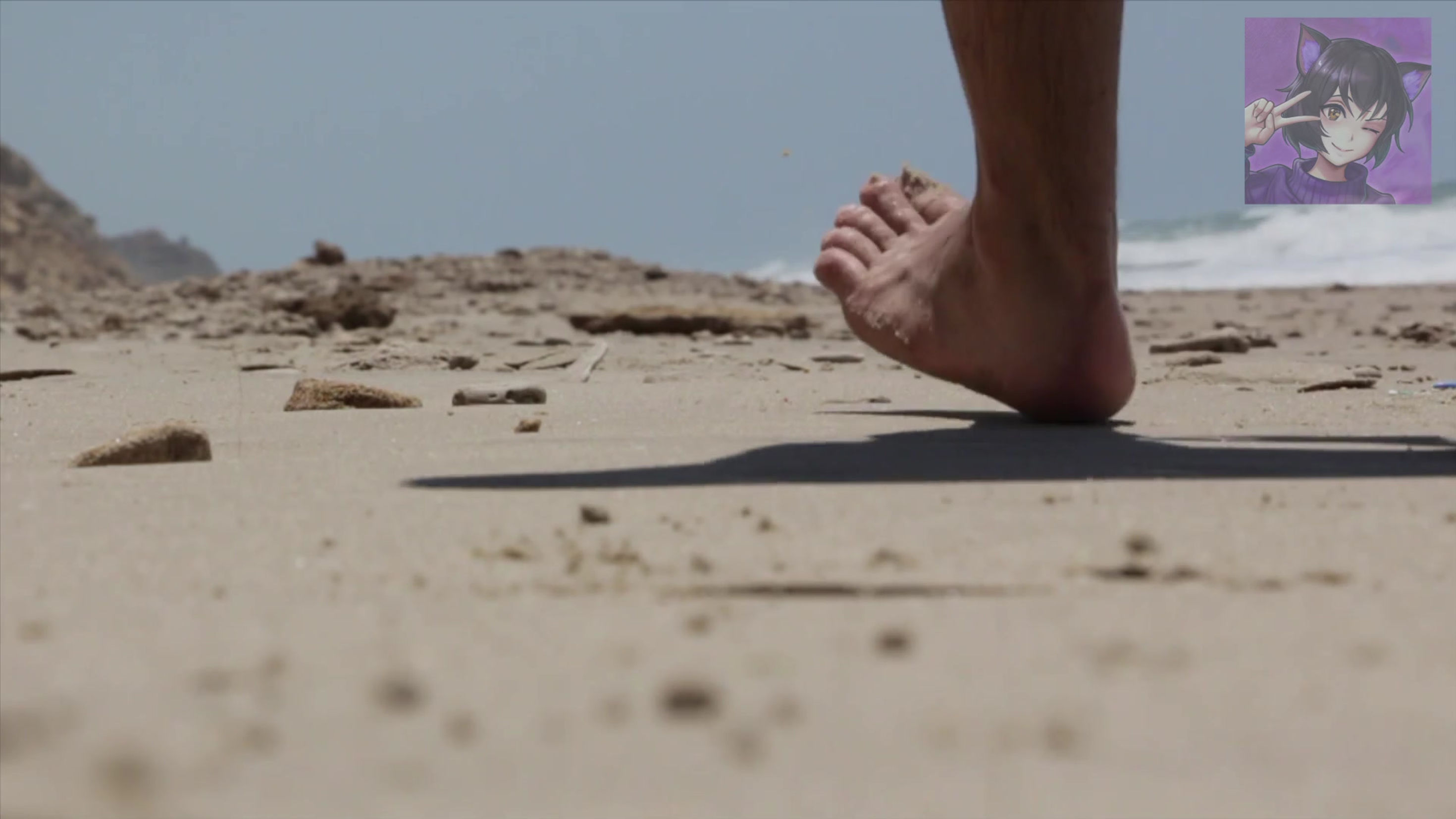 Show Reel